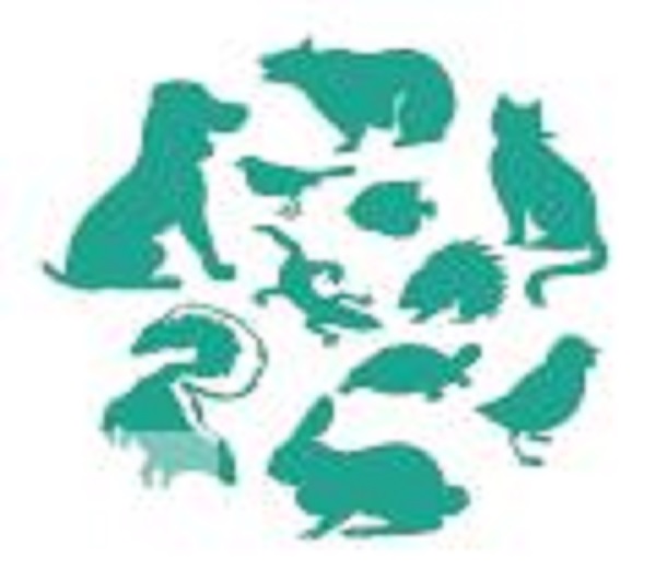 2023第4屆華東國際寵物用品展覽會暨中國寵業(yè)電商交易會